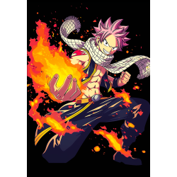 Fairy Tail anime poster od tkanine 20х29 cm