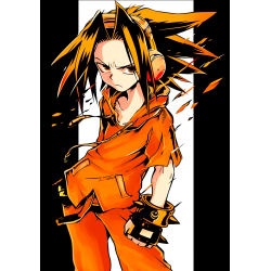 Shaman king fabric anime poster 20x29 cm