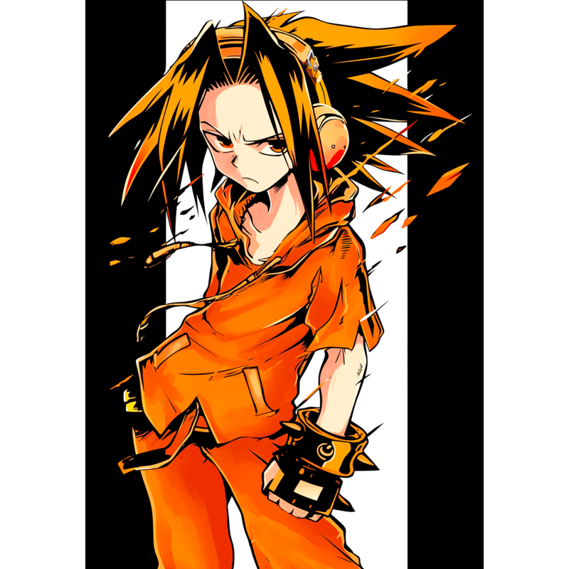 Shaman king fabric anime poster 20x29 cm