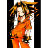 Shaman king fabric anime poster 20x29 cm