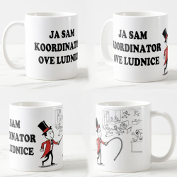 Mug Director of the madhouse